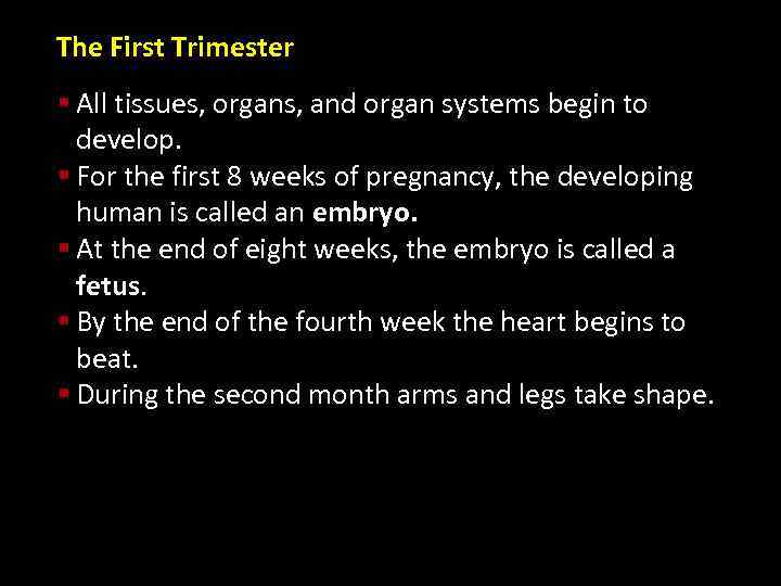 The First Trimester § All tissues, organs, and organ systems begin to develop. §