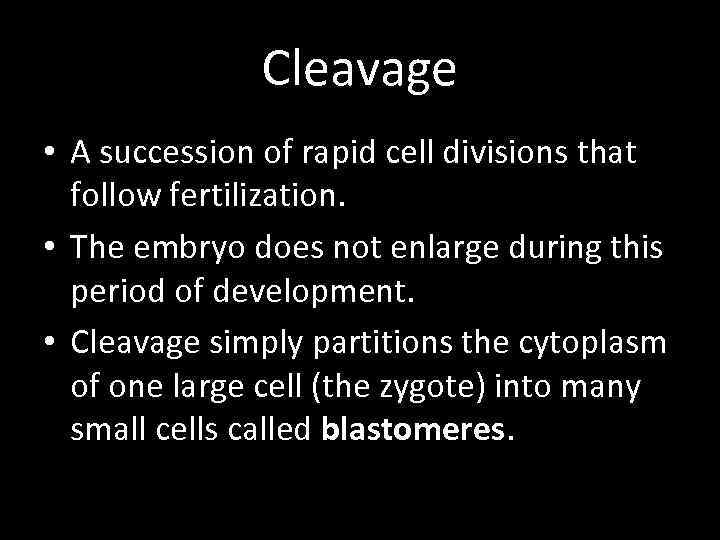 Cleavage • A succession of rapid cell divisions that follow fertilization. • The embryo