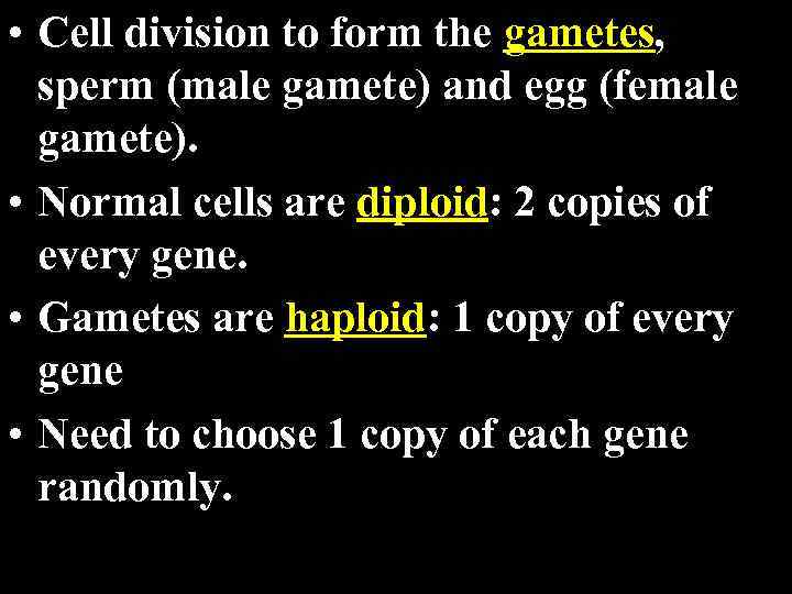  • Cell division to form the gametes, sperm (male gamete) and egg (female