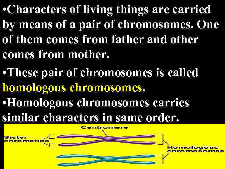  • Characters of living things are carried by means of a pair of