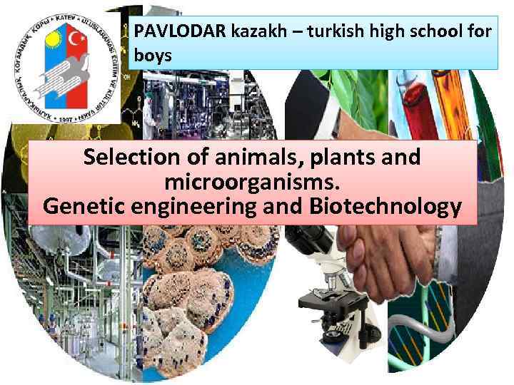 PAVLODAR kazakh – turkish high school for boys Selection of animals, plants and microorganisms.