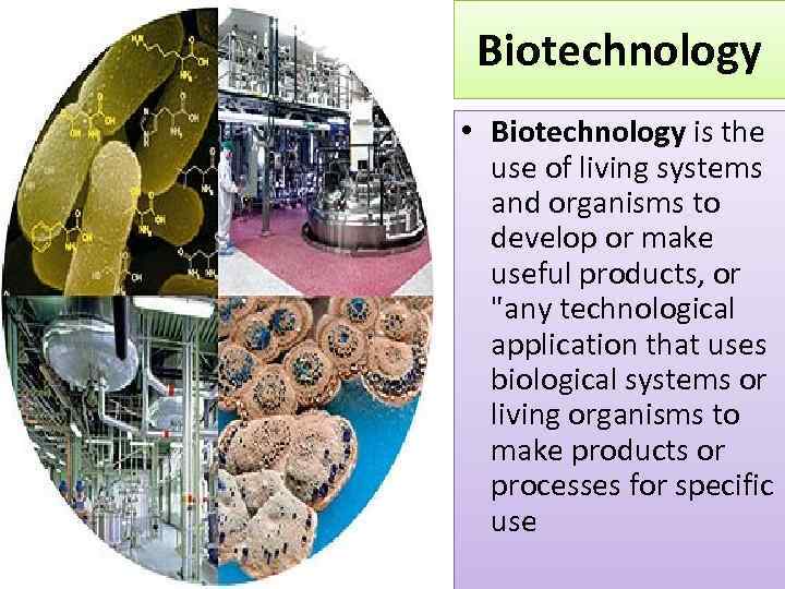 Biotechnology • Biotechnology is the use of living systems and organisms to develop or