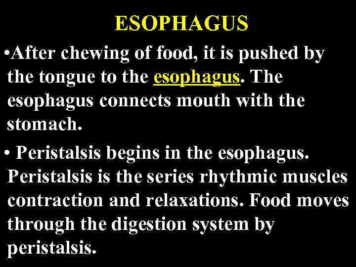 ESOPHAGUS • After chewing of food, it is pushed by the tongue to the