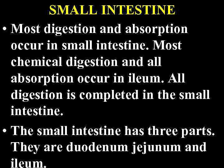 SMALL INTESTINE • Most digestion and absorption occur in small intestine. Most chemical digestion