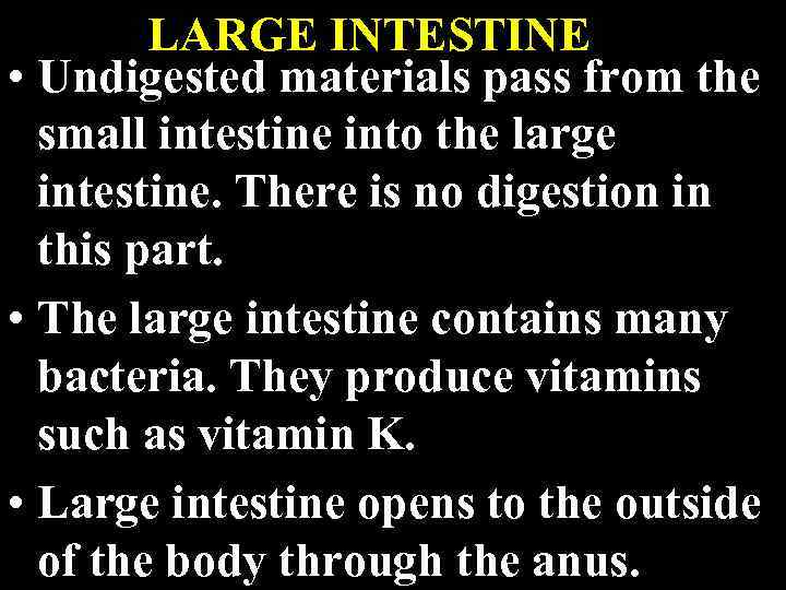 LARGE INTESTINE • Undigested materials pass from the small intestine into the large intestine.