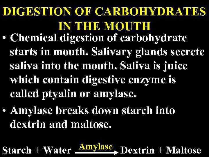 DIGESTION OF CARBOHYDRATES IN THE MOUTH • Chemical digestion of carbohydrate starts in mouth.