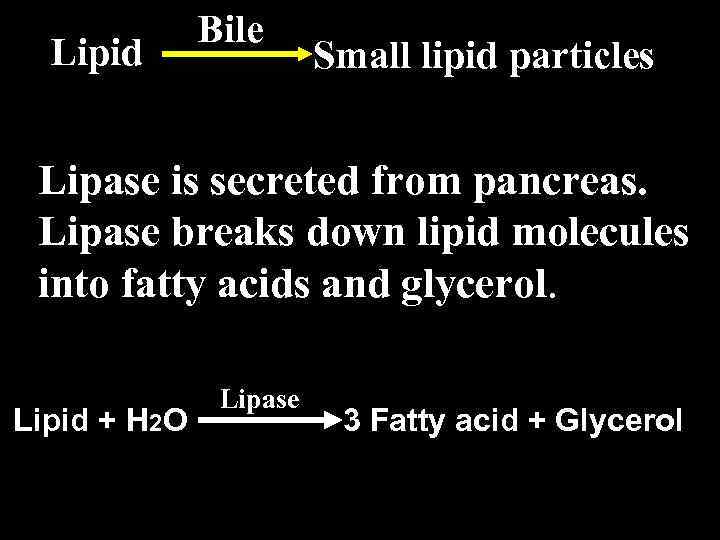 Lipid Bile Small lipid particles Lipase is secreted from pancreas. Lipase breaks down lipid