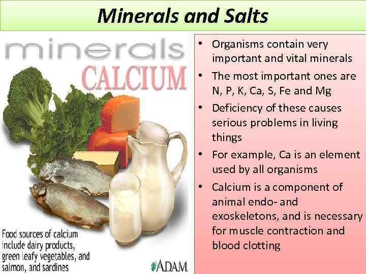 Minerals and Salts • Organisms contain very important and vital minerals • The most