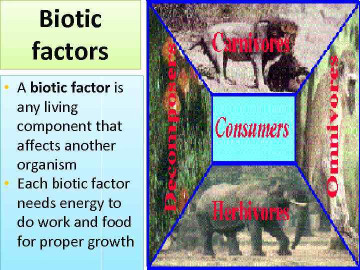 Biotic factors • A biotic factor is any living component that affects another organism