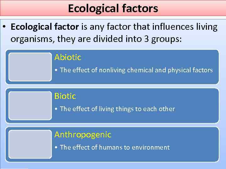 Ecological factors • Ecological factor is any factor that influences living organisms, they are