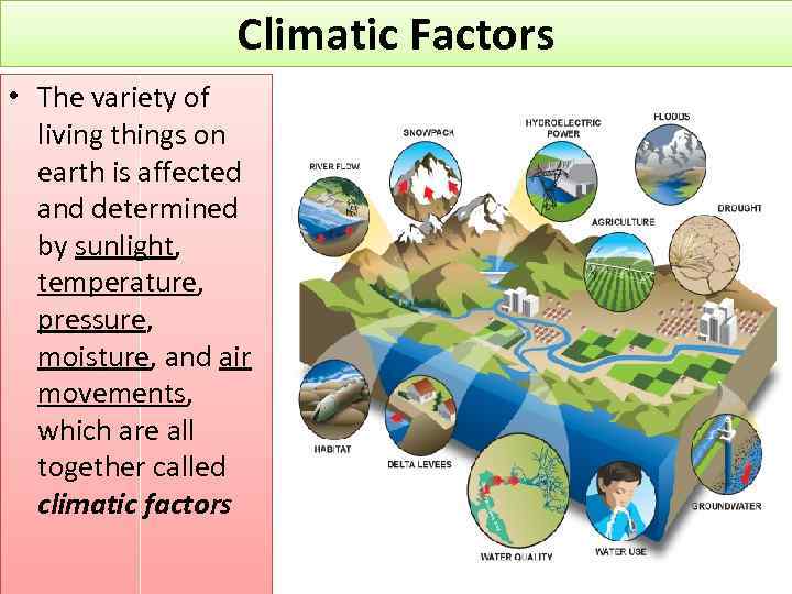 Climatic Factors • The variety of living things on earth is affected and determined