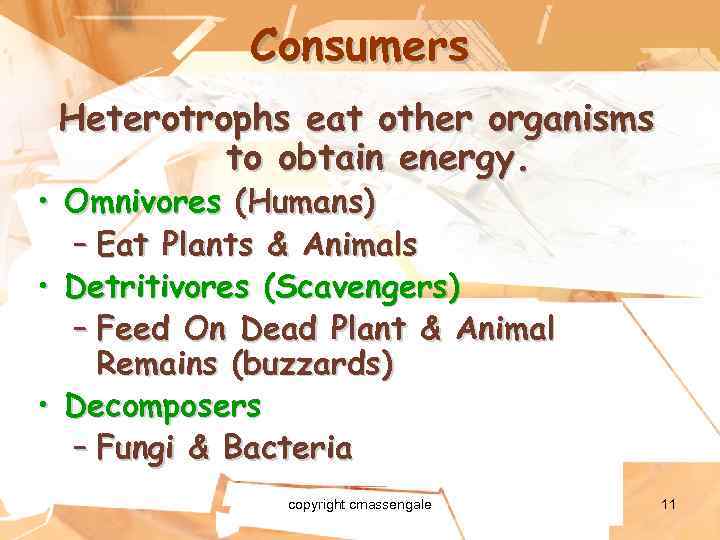 Consumers Heterotrophs eat other organisms to obtain energy. • Omnivores (Humans) – Eat Plants