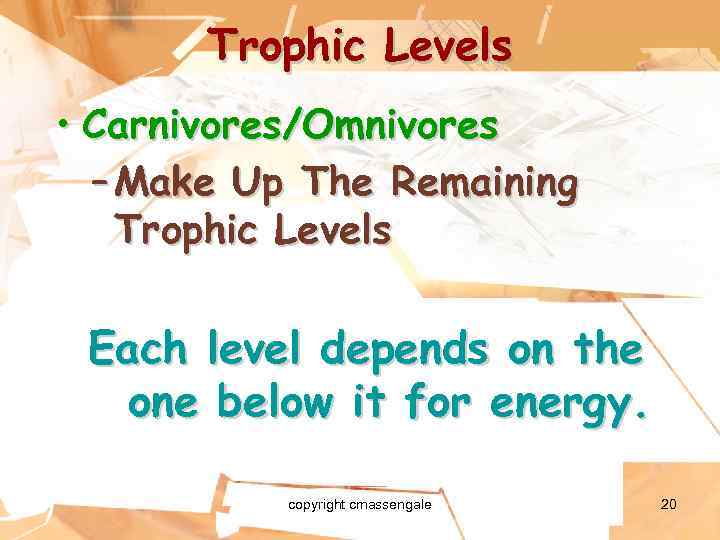 Trophic Levels • Carnivores/Omnivores – Make Up The Remaining Trophic Levels Each level depends