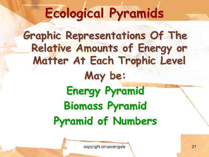 Ecological Pyramids Graphic Representations Of The Relative Amounts of Energy or Matter At Each