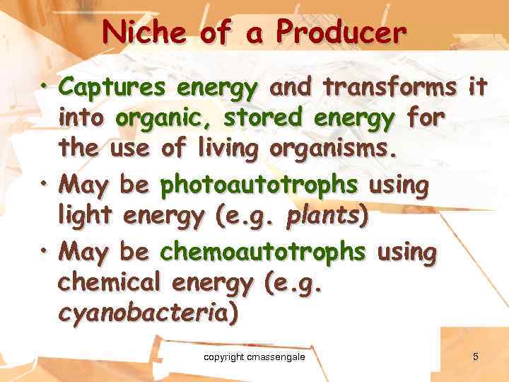Niche of a Producer • Captures energy and transforms it into organic, stored energy