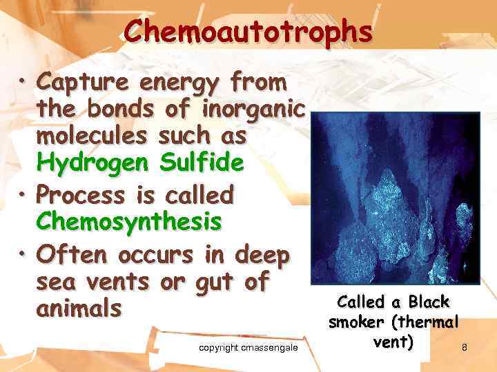 Chemoautotrophs • Capture energy from the bonds of inorganic molecules such as Hydrogen Sulfide