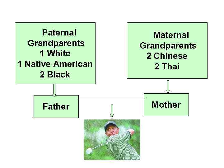 dd. Paternal Grandparents 1 White 1 Native American 2 Black dd. Maternal Grandparents 2