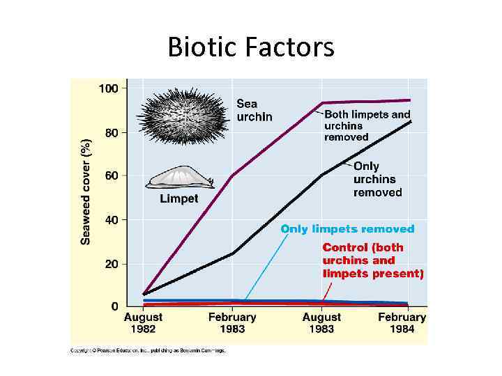 Biotic Factors 