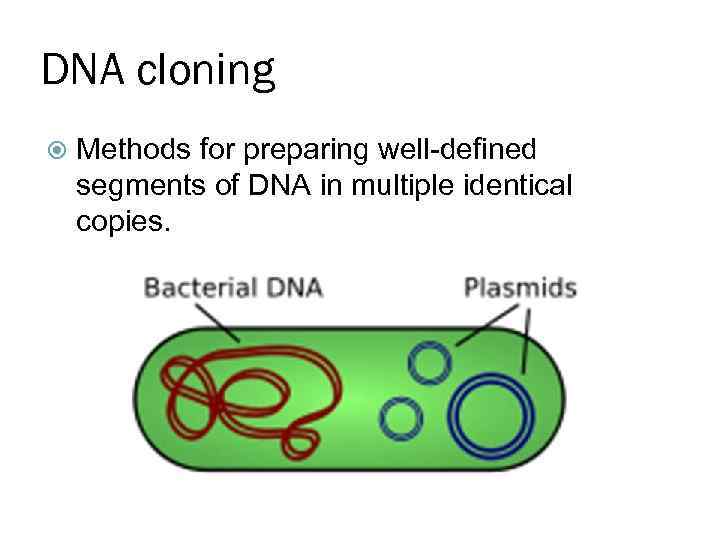 DNA cloning Methods for preparing well-defined segments of DNA in multiple identical copies. 