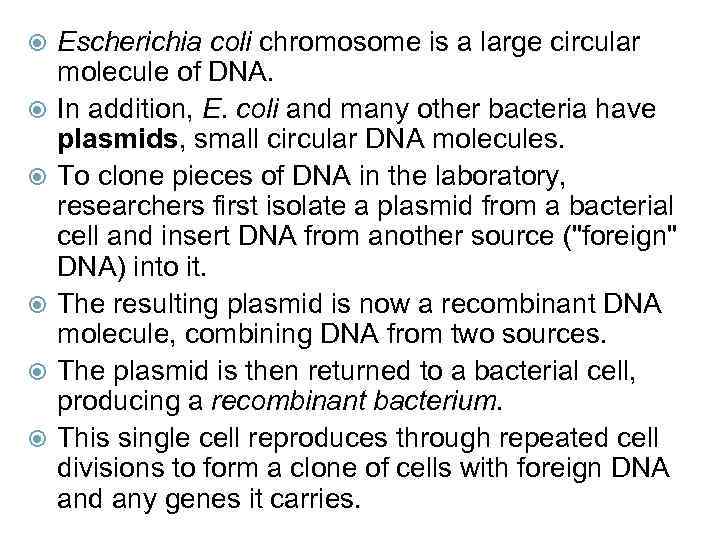  Escherichia coli chromosome is a large circular molecule of DNA. In addition, E.