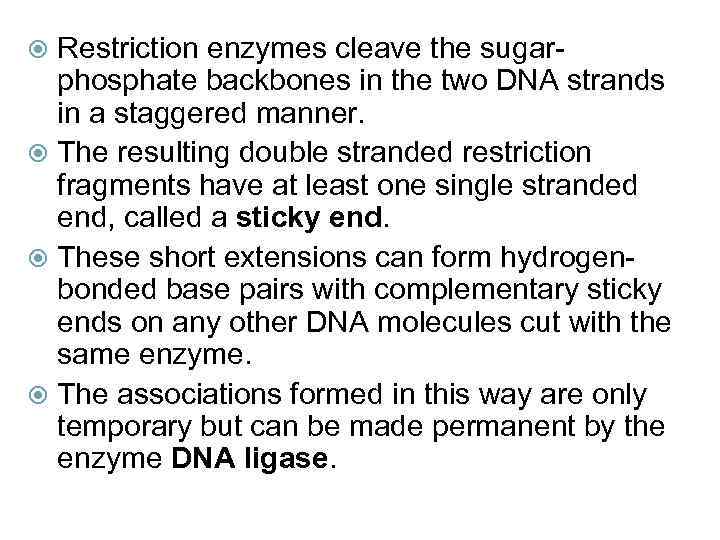 Restriction enzymes cleave the sugarphosphate backbones in the two DNA strands in a staggered