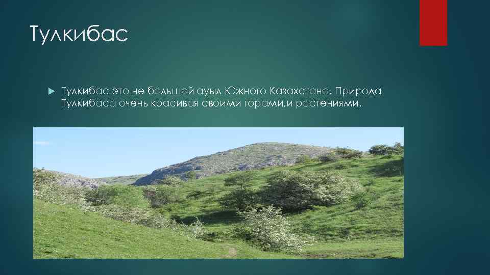 Тулкибас это не большой ауыл Южного Казахстана. Природа Тулкибаса очень красивая своими горами, и