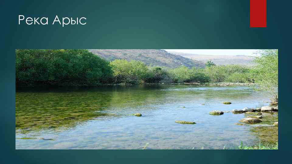 Река Арыс 