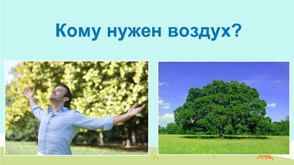 Кому нужен воздух? 