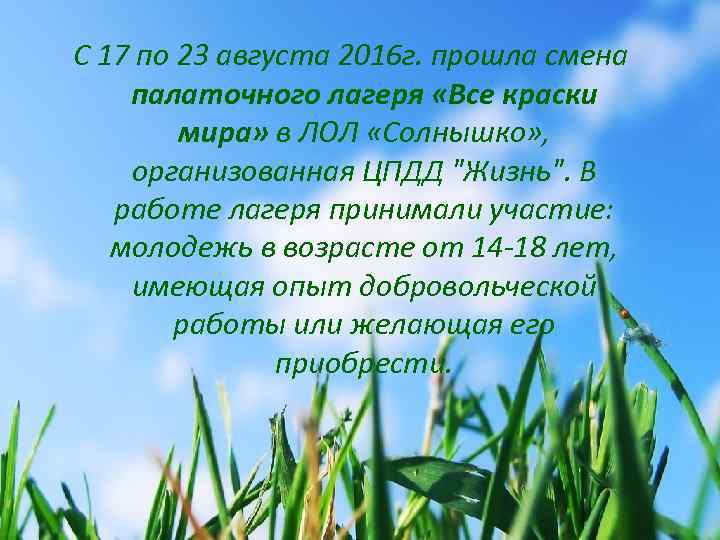 C 17 по 23 августа 2016 г. прошла смена палаточного лагеря «Все краски мира»