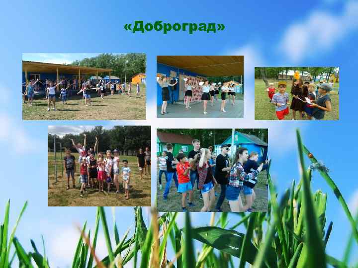  «Доброград» 