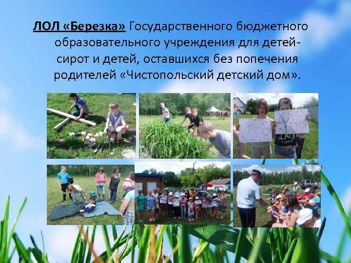 ЛОЛ «Березка» Государственного бюджетного образовательного учреждения для детейсирот и детей, оставшихся без попечения родителей