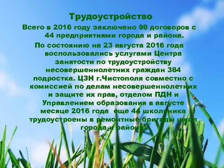 Трудоустройство Всего в 2016 году заключено 98 договоров с 44 предприятиями города и района.