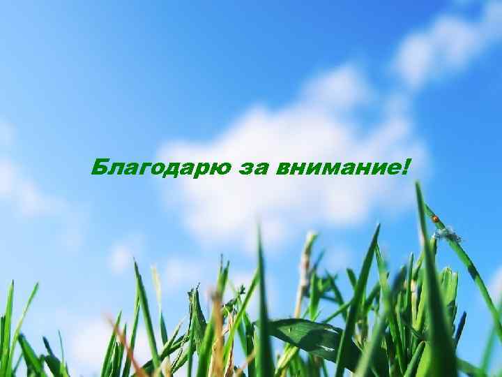 Благодарю за внимание! 