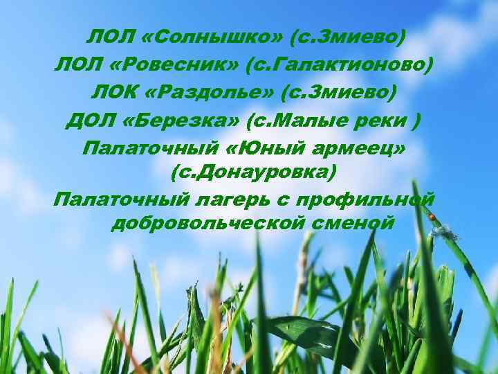  ЛОЛ «Солнышко» (с. Змиево) ЛОЛ «Ровесник» (с. Галактионово) ЛОК «Раздолье» (с. Змиево) ДОЛ