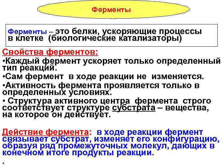 Ферменты – это белки, ускоряющие процессы в клетке (биологические катализаторы) Свойства ферментов: • Каждый