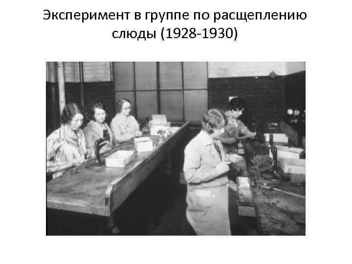Эксперимент в группе по расщеплению слюды (1928 -1930) 