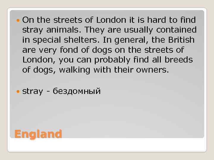  On the streets of London it is hard to find stray animals. They