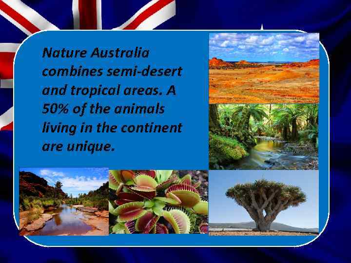 Nature Australia combines semi-desert and tropical areas. A 50% of the animals living in