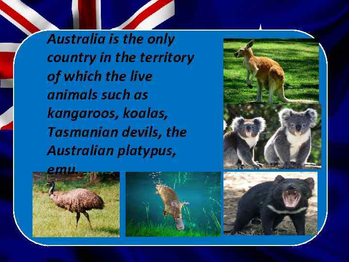 Australia is the only country in the territory of which the live animals such