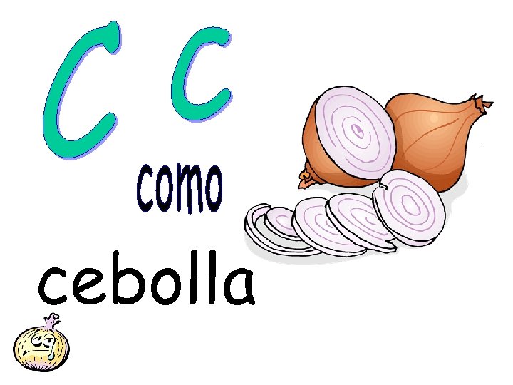 cebolla 