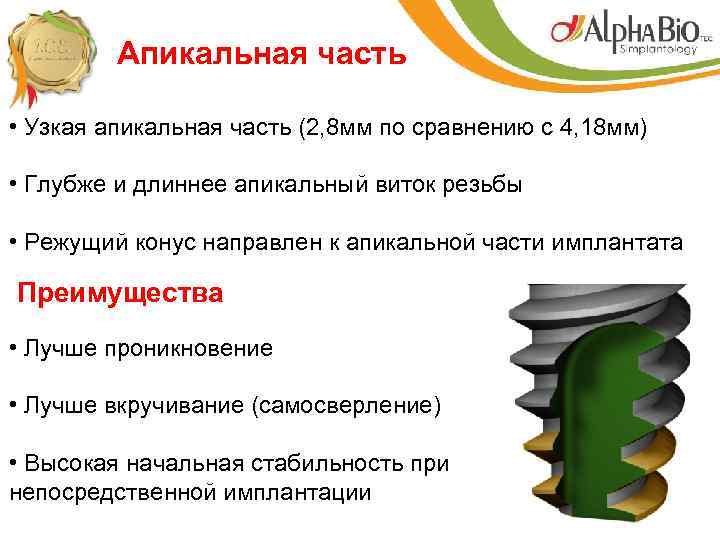 Апикальная часть • Узкая апикальная часть (2, 8 мм по сравнению с 4, 18