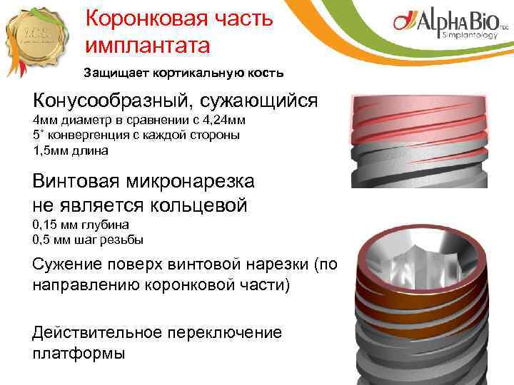 Коронковая часть имплантата Защищает кортикальную кость Конусообразный, сужающийся 4 мм диаметр в сравнении с