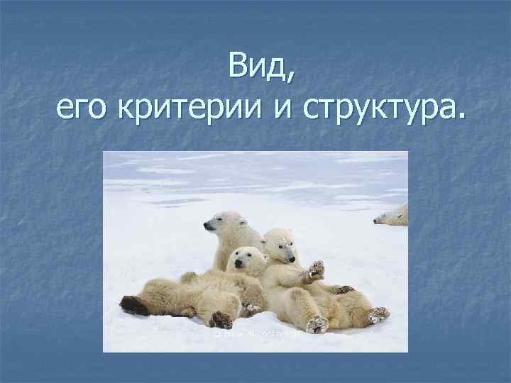 Вид, его критерии и структура. 