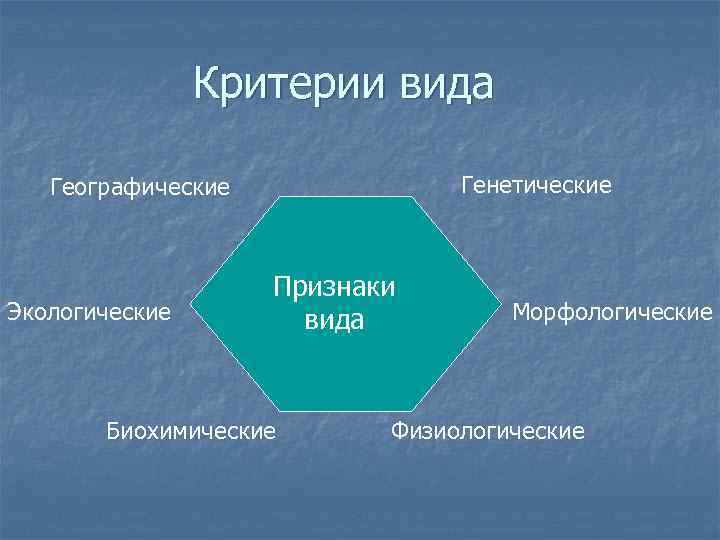 Критерии вида Генетические Географические Экологические Признаки вида Биохимические Морфологические Физиологические 
