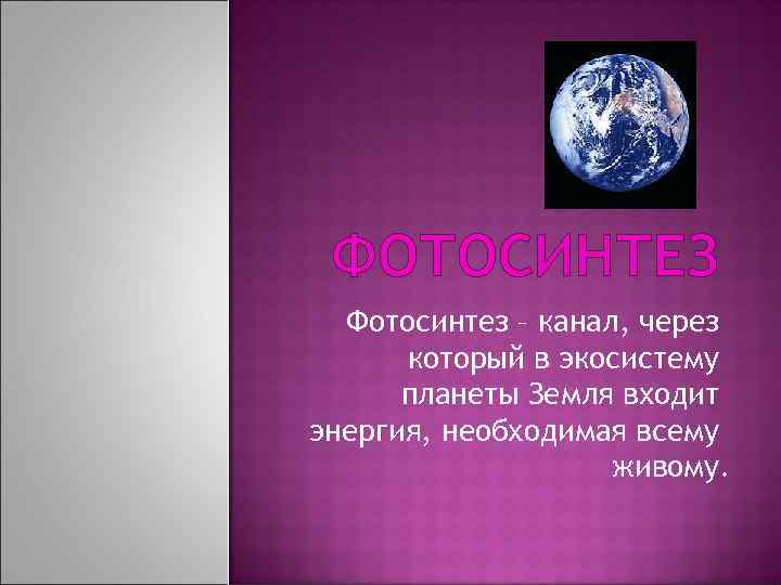 ФОТОСИНТЕЗ Фотосинтез – канал, через который в экосистему планеты Земля входит энергия, необходимая всему