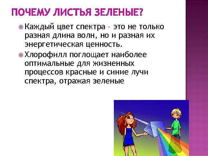 ПОЧЕМУ ЛИСТЬЯ ЗЕЛЕНЫЕ? Каждый цвет спектра – это не только разная длина волн, но