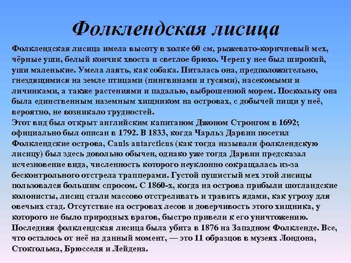 Фолклендская лисица имела высоту в холке 60 см, рыжевато-коричневый мех, чёрные уши, белый кончик