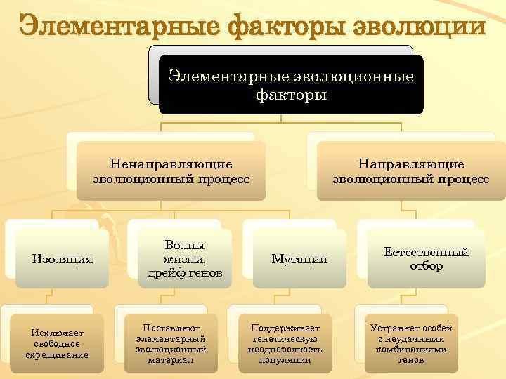 Элементарные факторы эволюции Элементарные эволюционные факторы Ненаправляющие эволюционный процесс Изоляция Исключает свободное скрещивание Волны