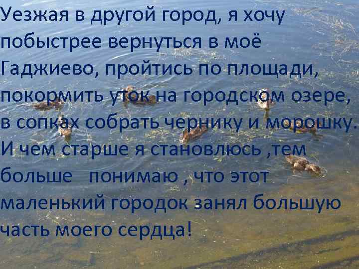 Уезжая в другой город, я хочу побыстрее вернуться в моё Гаджиево, пройтись по площади,