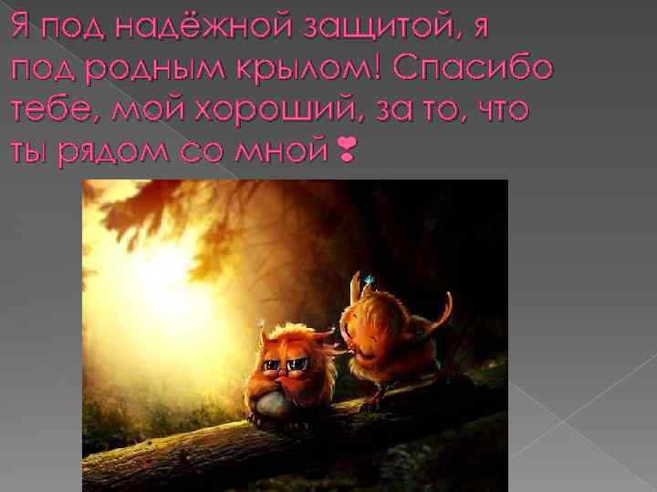 Я под надёжной защитой, я под родным крылом! Спасибо тебе, мой хороший, за то,